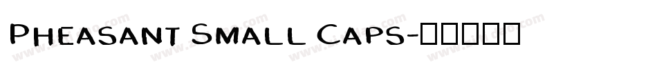 Pheasant Small Caps字体转换